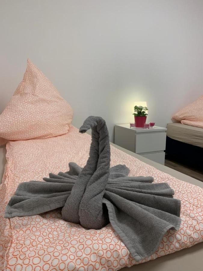 Lovely Share Apartment Aachener Weiher ケルン エクステリア 写真